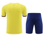 Conjunto de calentamiento FC Barcelona amarillo franja azul y roja - Imagen 3