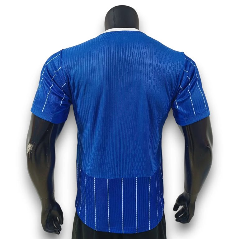Camiseta Brighton & Hove Albion 26/27 1ª equipación