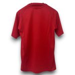 Camiseta Costa de Marfil 26/27 Entrenamiento