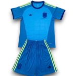 Camiseta España 26/27 Portero Alternativa