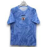 Camiseta Haití 26/27 Portero Visitante