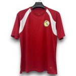 Camiseta Senegal 26/27 Entrenamiento